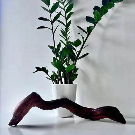 Rising Sun House Santorini