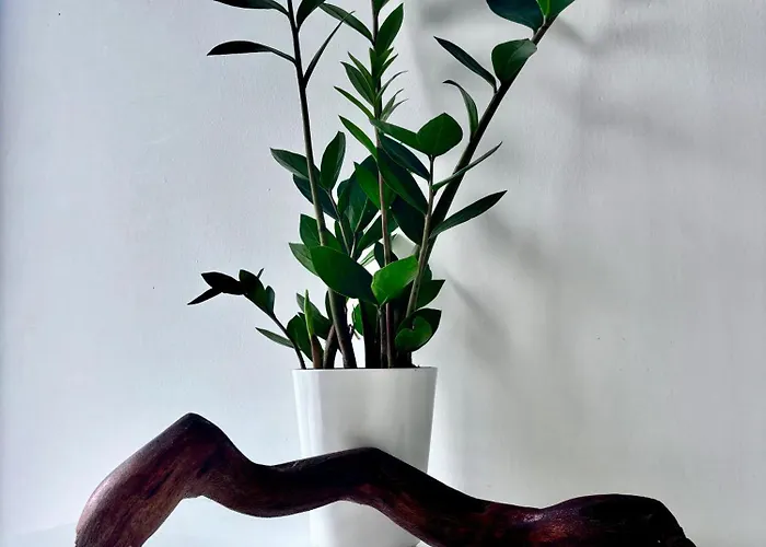 Rising Sun House Santorini